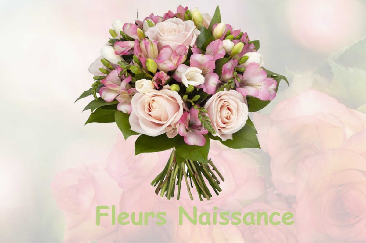 fleurs naissance NAIVES-EN-BLOIS