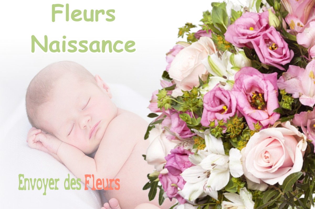 lIVRAISON FLEURS NAISSANCE à NAIVES-EN-BLOIS